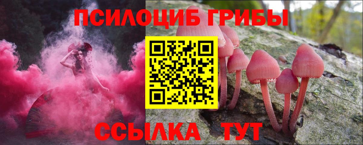 Псилоцибиновые грибы мухоморы Богородицк
